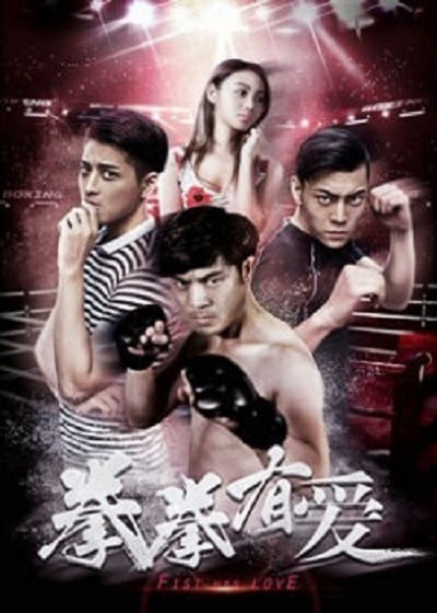 Yêu Boxer